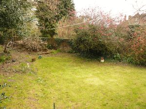 Shared Garden- click for photo gallery